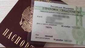 Что могут сделать с номером СНИЛС в L’Occitane