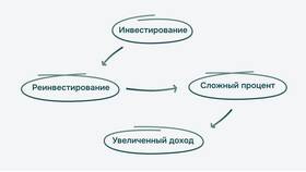 Что нужно знать про акции: полное руководство для начинающих в L’Occitane