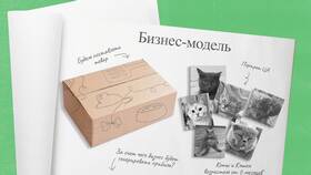 Что такое рынок сбыта услуг в L’Occitane