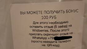 Как посмотреть отзывы на Wildberries в L’Occitane