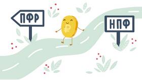 Как посмотреть выплаты ПФР в L’Occitane