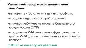 Как проверить и проанализировать свой СНИЛС в L’Occitane