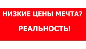 Новинки магазина 