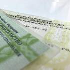 Что делать если потерял бумажный СНИЛС
