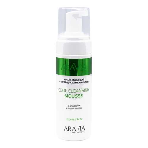 Мусс Aravia Professional Cool Cleansing Mousse 160 мл в L’Occitane